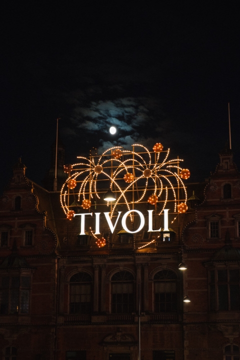 kopenhagen-67-von-116