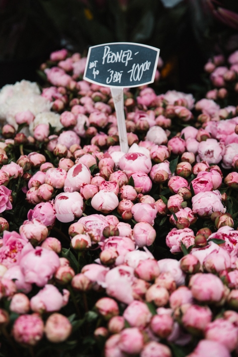 kopenhagen-85-von-116